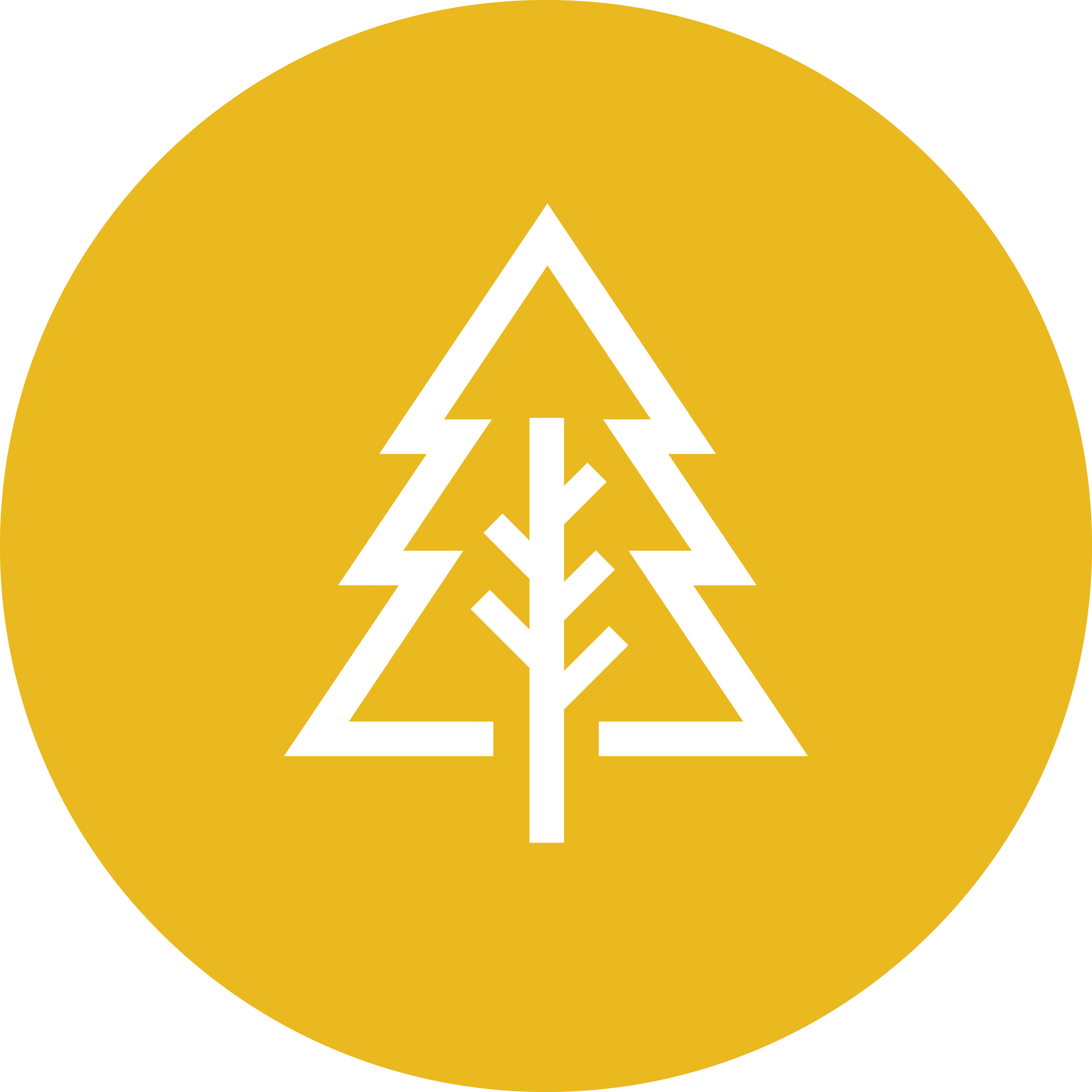 Icon-SW-Natur-Gelb Natur
