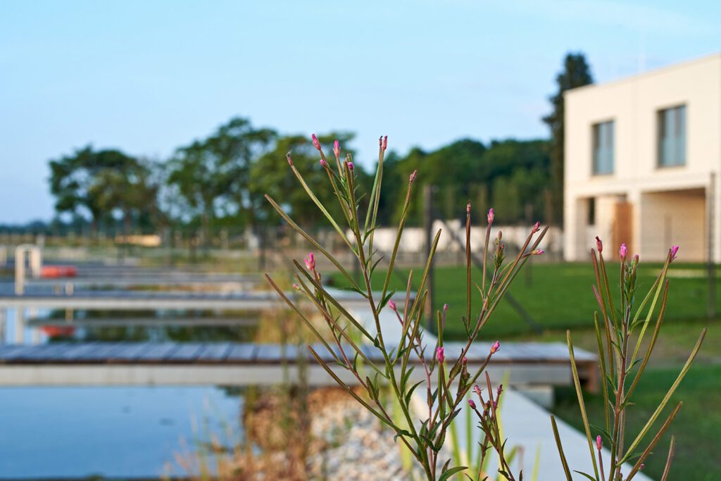 Doppelhaus Wellenklang am See: Ihr idyllisches Refugium am Sonnenweiher in Grafenwörth, Niederösterreich, nahe Wien – ein perfekter Ort, um die Ruhe der Natur und das sanfte Rauschen des Wassers zu genießen.